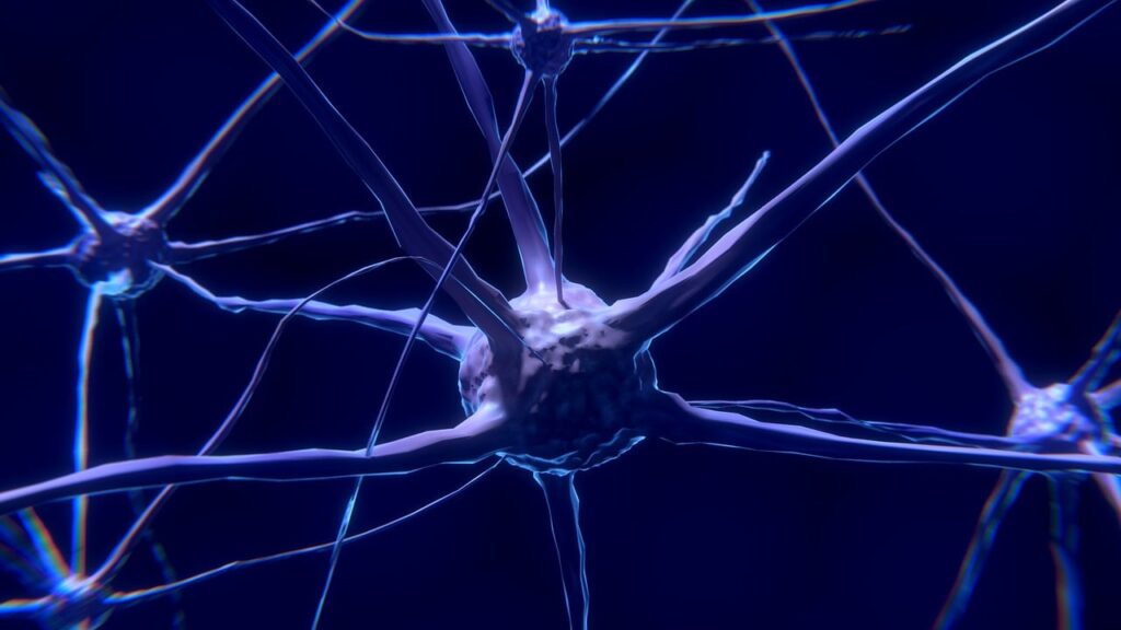 Neurosciences
-NEUORONS